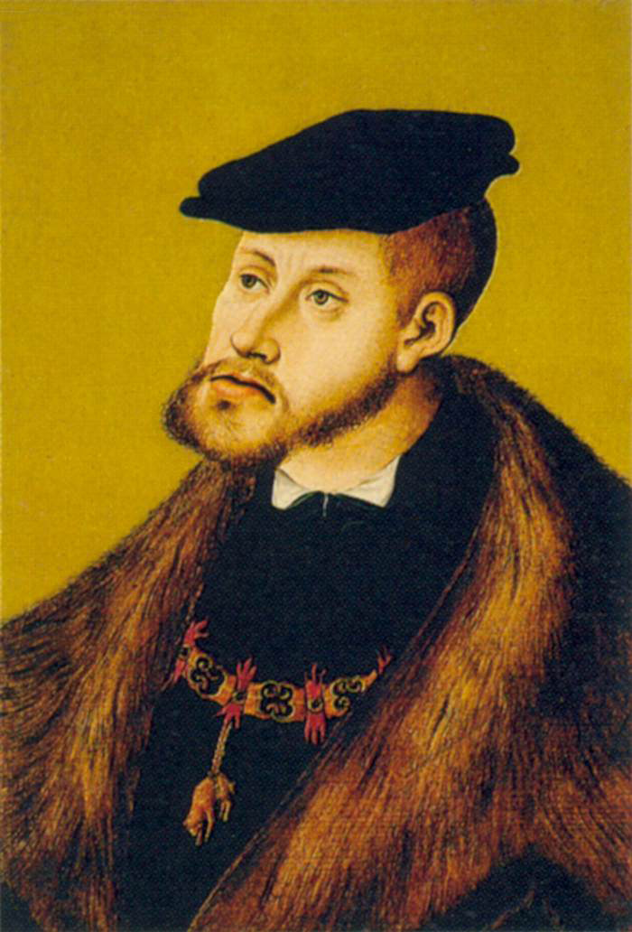 portrait of charles the fifth